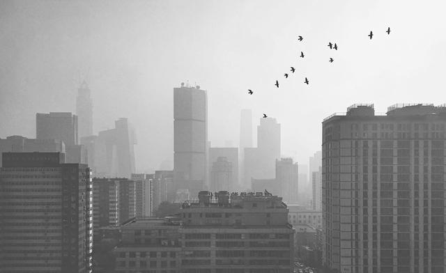 1607828665843163.png 222.png